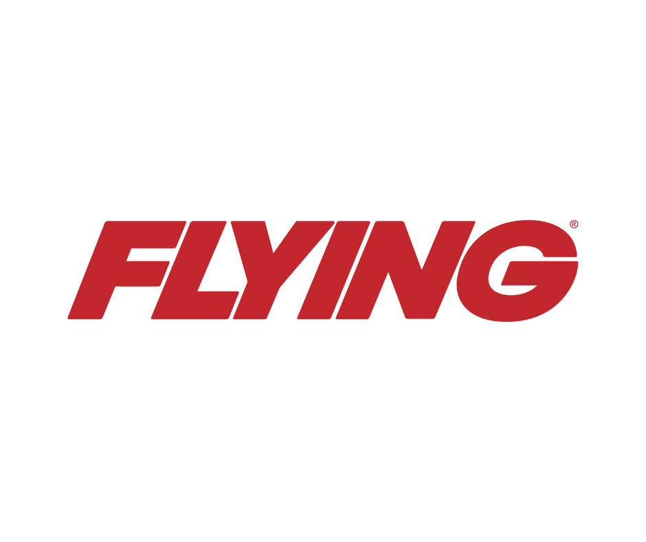 flying logo